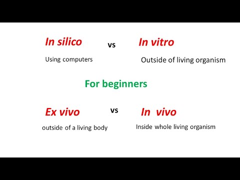In Vivo vs. In Vitro: Key Differences Explained post thumbnail image