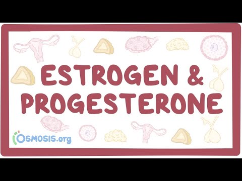 Understanding the Role of Estrogen During Your IVF Cycle