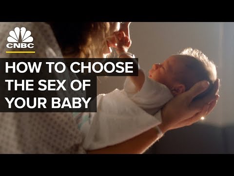 Can You Really Choose the Sex of Your Baby?