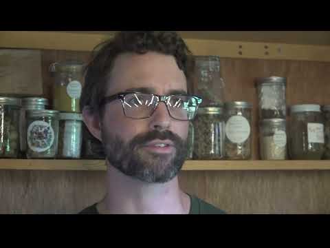 Herbalists: The Art and Science of Plant Healing post thumbnail image
