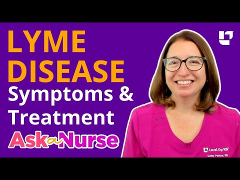 Can Lyme Disease Be Cured? What You Should Know