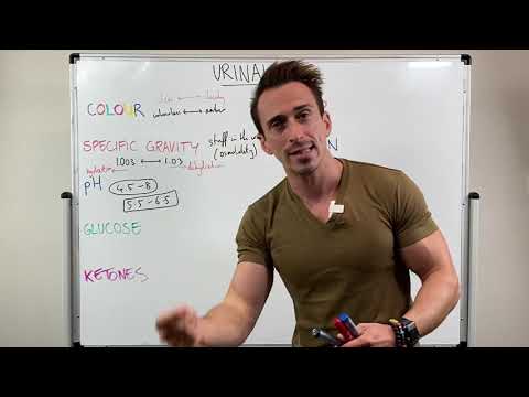 Urinalysis: Understanding the Process and Its Insights