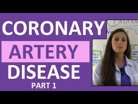 Understanding Arteries: Anatomy, Health Risks, and Care