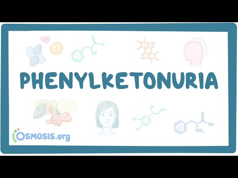 Understanding Phenylketonuria: Symptoms and Diagnosis Guide post thumbnail image