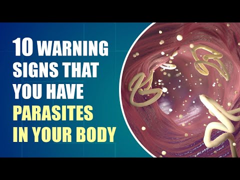 Mouth Larvae: Essential Facts You Shouldn't Ignore