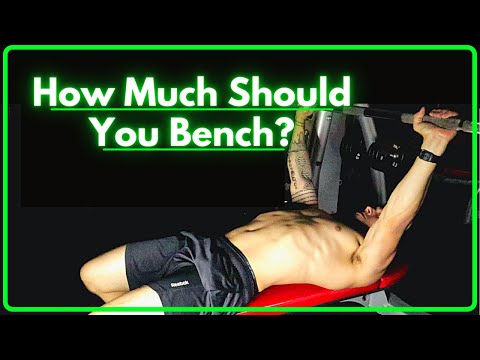 What’s the Average Bench Press for Regular Lifters?