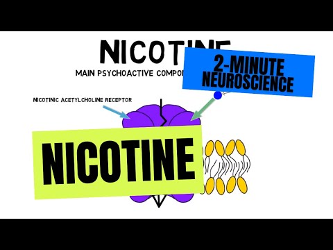 Understanding Nicotine: Uses, Risks, and Health Implications