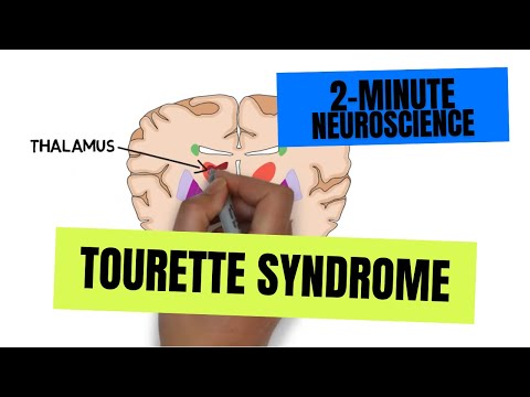 Understanding Tics: Types, Symptoms, and Causes Explained