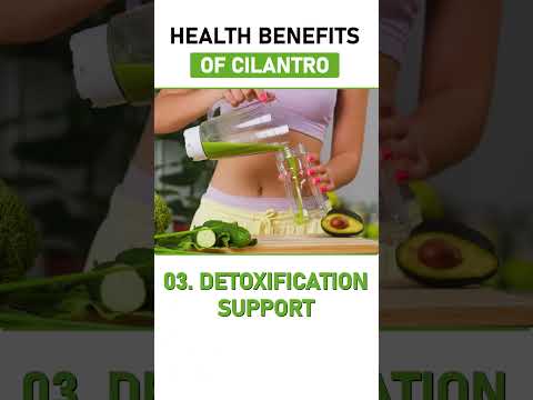 Unlocking Health: The Benefits of Cilantro for Wellness