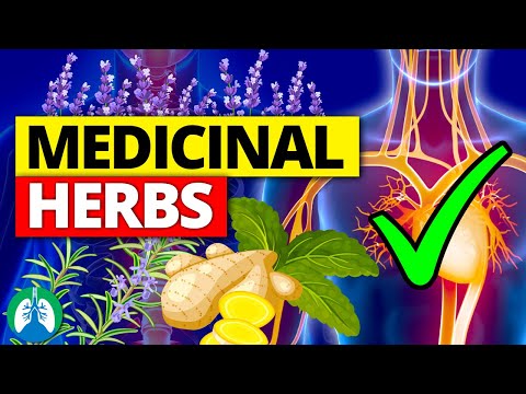 9 Potent Medicinal Plants and Herbs You Should Know