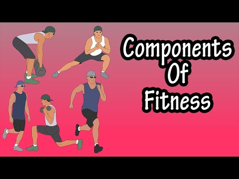 Understanding the 5 Essential Health-Related Components of Fitness