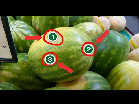 Choosing the Right Watermelon for Better Nutrition