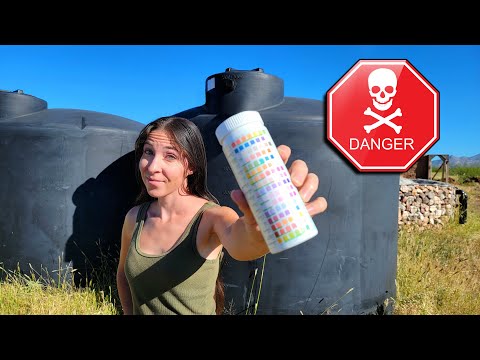 Is Rainwater Safe to Drink? What You Need to Know post thumbnail image