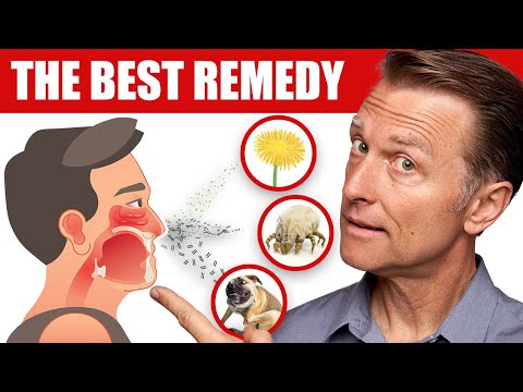 Managing Grass Pollen Allergy Symptoms for Better Health