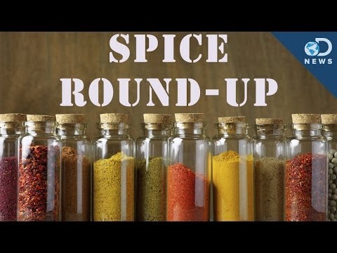 Do Spices Expire? Ensure Your Kitchen Is Health-Safe