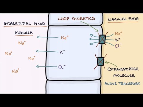 Understanding Diuretics: Types, Risks, and Side Effects post thumbnail image