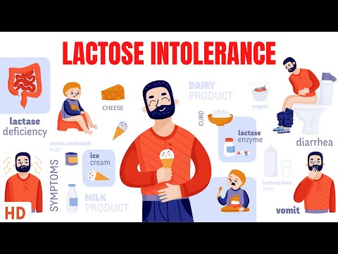 5 Low Lactose Dairy Products for Better Digestive Health