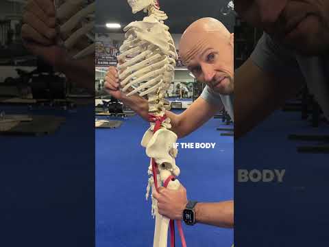 Unlocking the Benefits of the Psoas Stretch for You