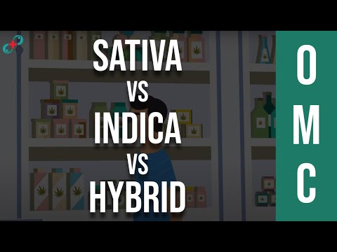 Sativa, Indica, Hybrid: Uses, Effects, and Comparison Chart post thumbnail image
