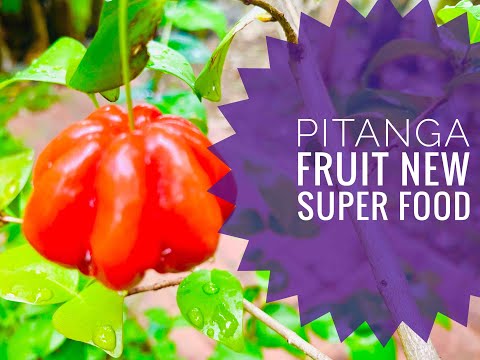 Discover the Health Benefits of Pitanga Fruit for Wellness