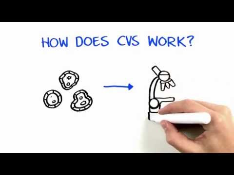 Navigating Pregnancy: Insights on Chorionic Villus Sampling