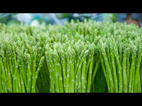 Can You Eat Raw Asparagus? Health Benefits and Risks Explained