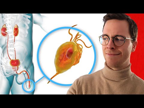 Understanding Trichomoniasis: How It Spreads Without Infidelity