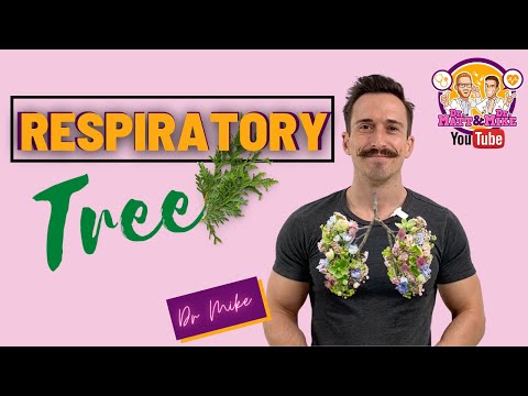 Understanding Lung, Trachea & Bronchial Tree Functions for Health post thumbnail image