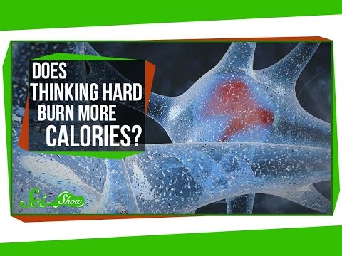 Does Heat Increase Calorie Burn? Exploring the Science