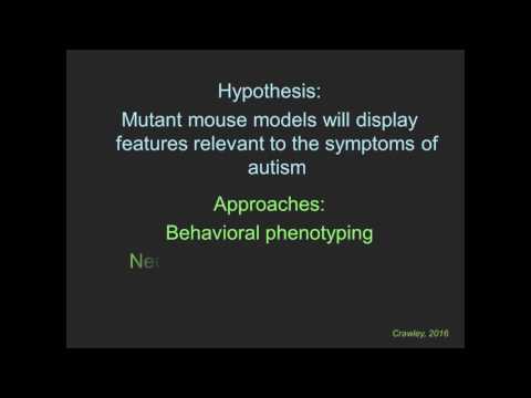 Understanding the Causes and Symptoms of Autism