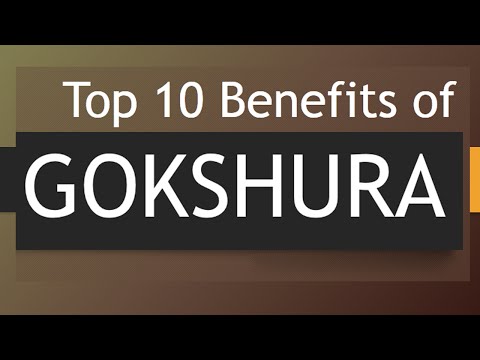 8 Emerging Benefits of Gokshura for Health and Wellness post thumbnail image