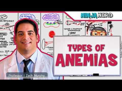 Understanding Anemia Blood Tests: Types, Results, and Norms