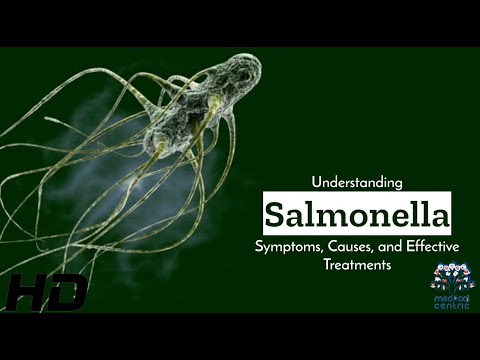 Salmonella Poisoning: Recognize Symptoms and Find Relief