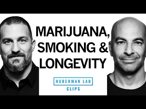 Effective Strategies to Stop Smoking Weed for Better Health