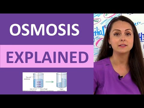 Understanding Blood Osmolality: What Patients Need to Know