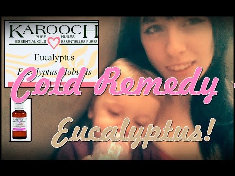 Eucalyptus: A Natural Remedy for Common Health Issues?