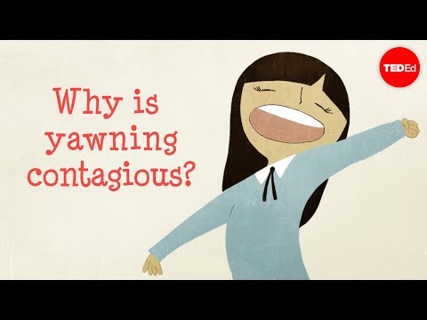 Why We Yawn and Why It Spreads Like Wildfire