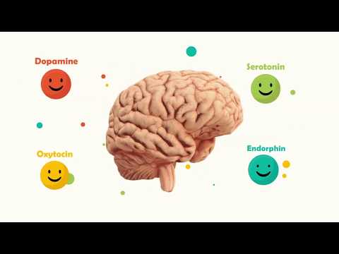 Dopamine's Role in Body Chemistry: Drugs and Hormones Unveiled