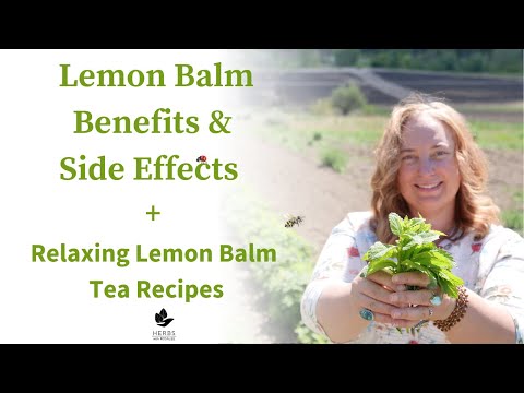 Lemon Balm: Uses, Risks, and Optimal Dosage Insights post thumbnail image