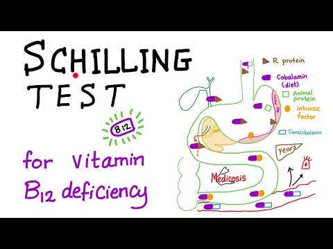 Understanding the Schilling Test for Vitamin B12 Absorption
