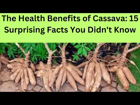 Cassava: Benefits, Risks, and Surprising Uses Revealed