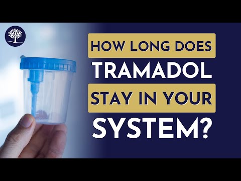 Understanding How Long Tramadol Remains in Your System