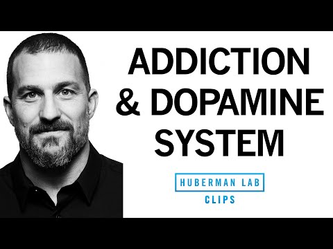 Understanding Dopamine's Role in Addiction Myths and Facts