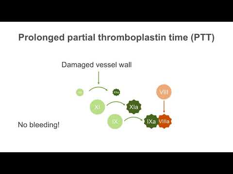 Understanding the Activated Partial Thromboplastin Time (APTT) Test post thumbnail image
