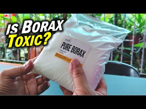Is Borax Safe for Kids: Health Risks and Skin Safety Explained