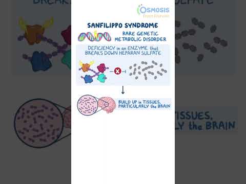 Understanding Sanfilippo Syndrome: Symptoms and Treatments