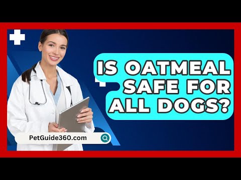Is Oatmeal Safe for Dogs? What You Should Know