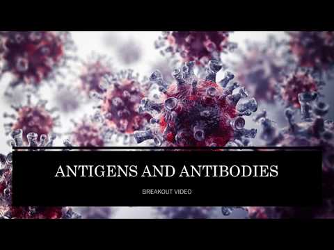 Antigens and Antibodies: Key Players in Your Immune Health post thumbnail image