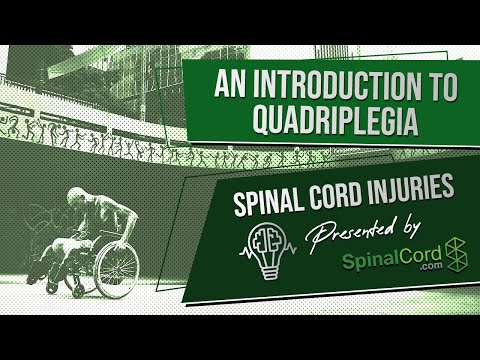 Understanding Quadriplegia: Types, Causes, and Prognosis