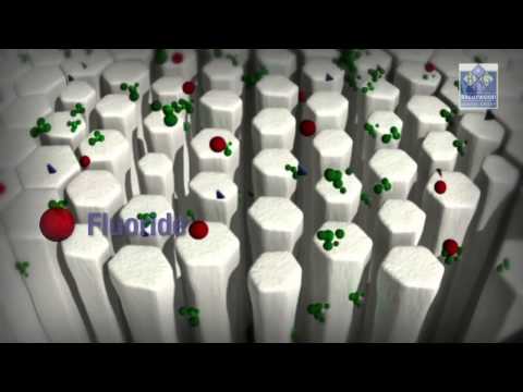 Understanding Clinpro 5000 Paste: Uses and Side Effects
